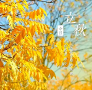 立秋补钙养骨正当时,哈药盖中盖助力科学补钙